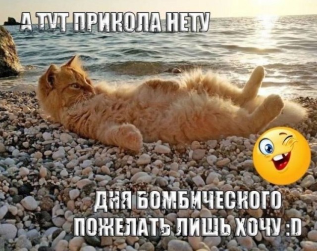 Мемы для самых умных