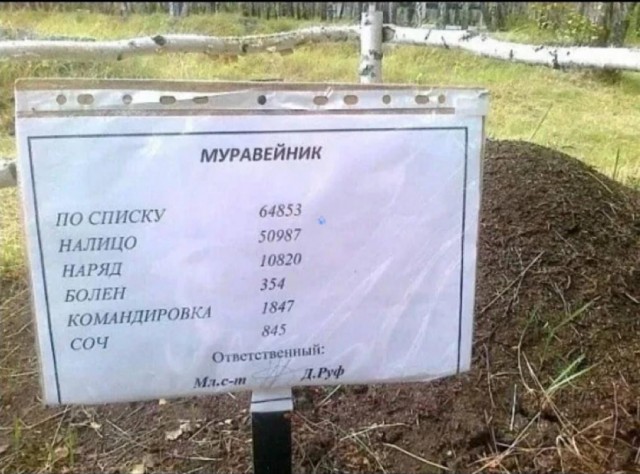 Так себе картинки 09.10.23