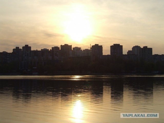 Красивые фото ЯПа