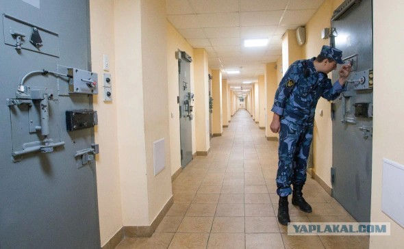 Поэты из дела о «Маяковских чтениях» получили до 7 лет колонии