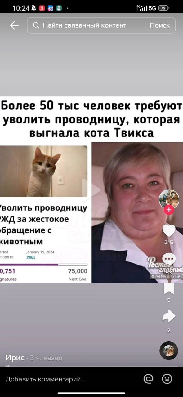 Проводник, высадившая кота Твикса, временно отстранена от работы