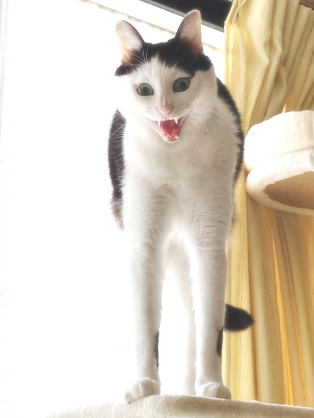 Подборка интересных и веселых картинок 14.02.24