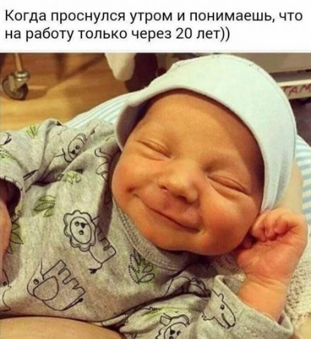 Куча веселых картинок