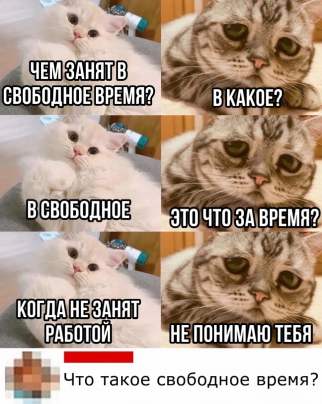 Весёлый полтишок 10.06.24