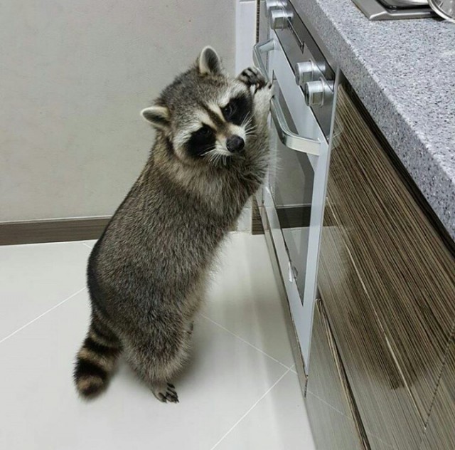ФотоВинегрет