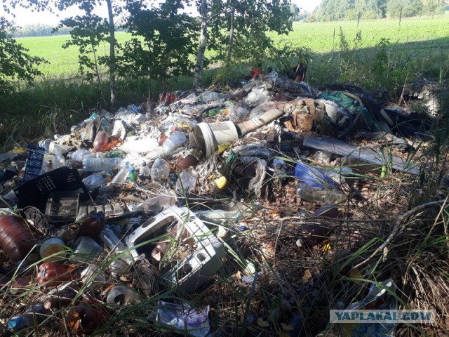 Объяснил ценному специалисту, что мусорить не стоит