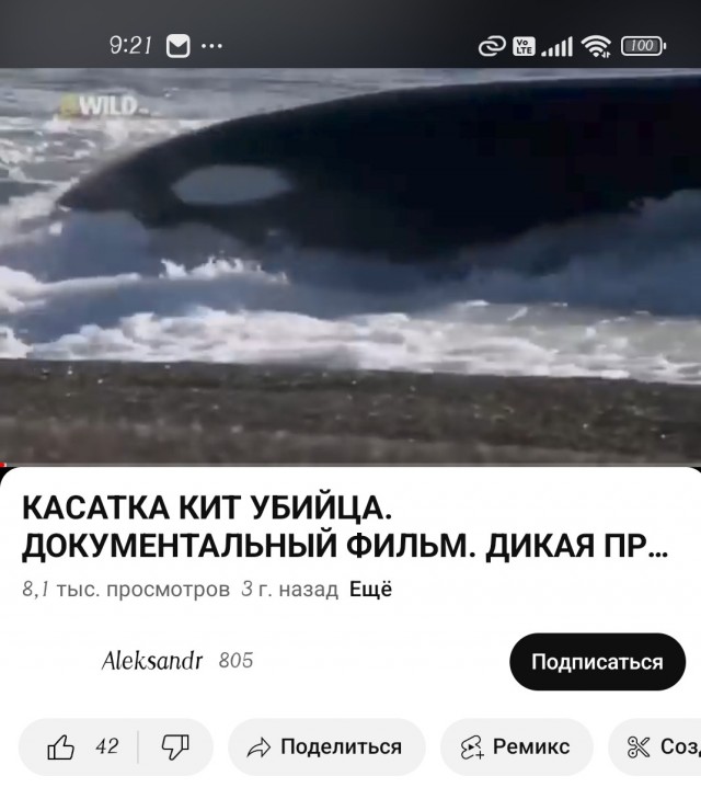 5 минут назад перестал полностью работать ютуб, а у вас как?