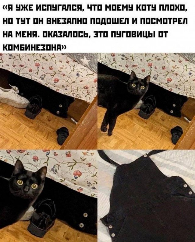 Нуштош 16.08.2024