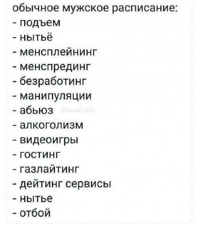 Немного забавных картинок от 22.08.2024