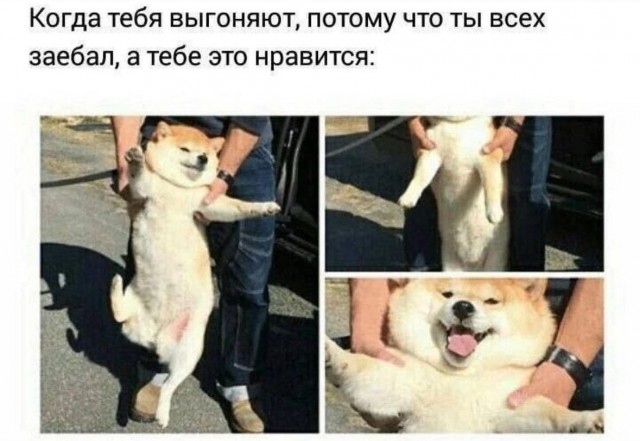 Завалялось тут случайно немного забавных картинок