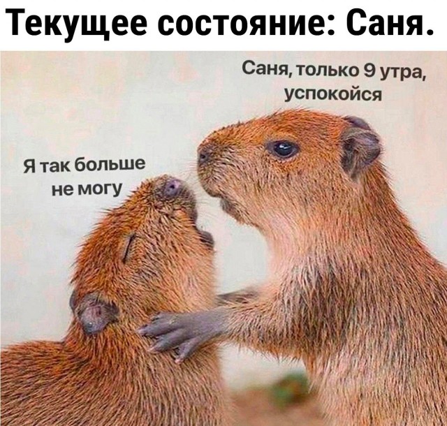 Сегодня отмечается день «Избегай своих обязанностей»