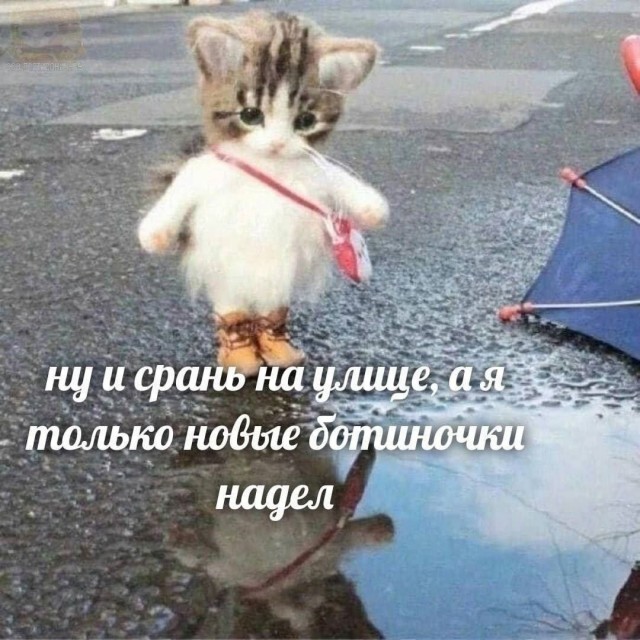 Завалялось тут случайно немного забавных картинок