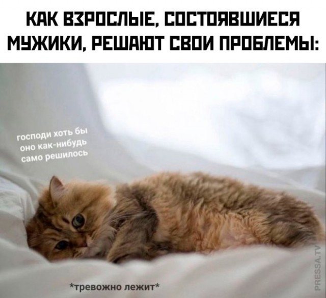 Веселые картинки в маленькую пятницу (19.02)