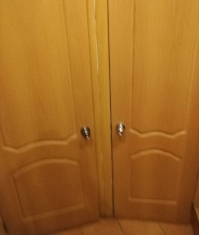 Двойной реалистик