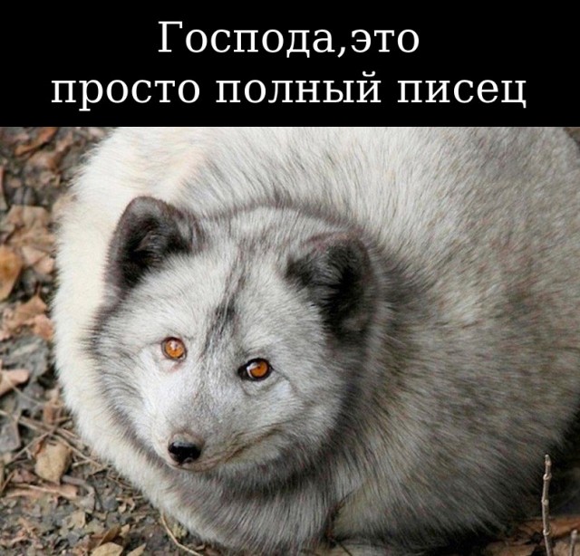 Решил поделиться моей коллекцией боянов