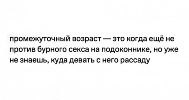 Смешные картинки с надписями и планы на лето 2025