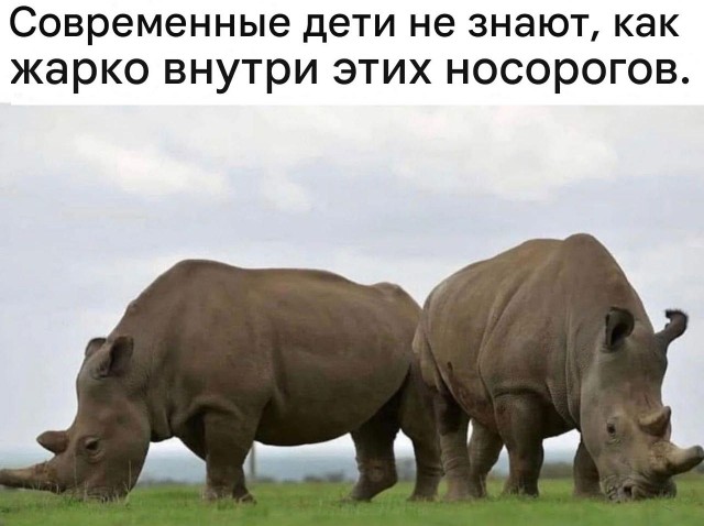 30 картинок на киношную тему