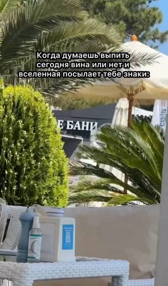 ТРРРидцать тРРРи от 19 июня