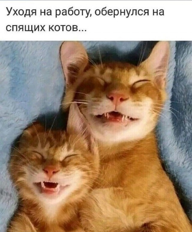 Так себе картинки 06.07.25