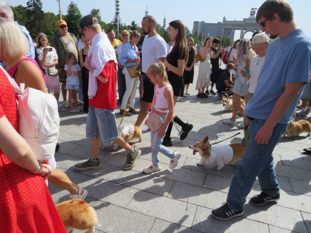 Парад корги в Москве на ВДНХ