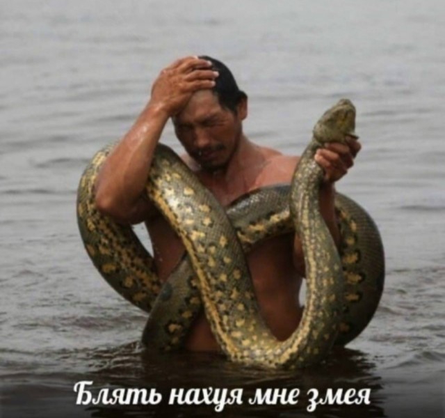 Бредейшая бредятина