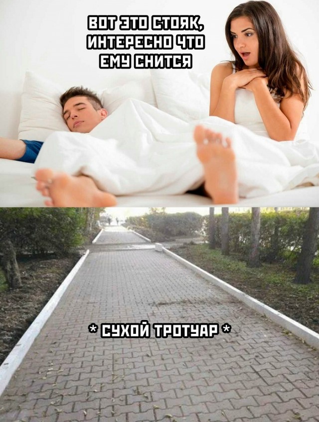 Так себе картинки 14.10.25