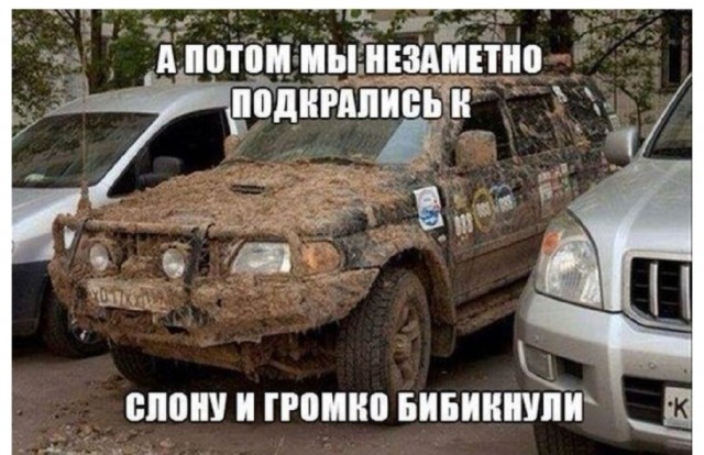 Веселые картинки в понедельник (20/10)