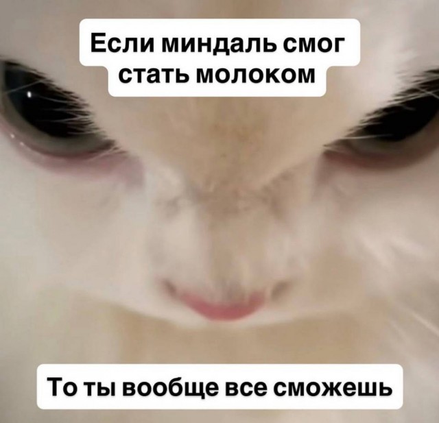 Очередного понедельника картинки