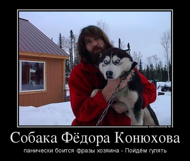«Я с детства мечтал жить на острове» — Фёдор Конюхов поселился в Антарктиде