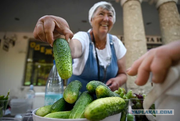 Ученые разработали новый рацион для всего человечества