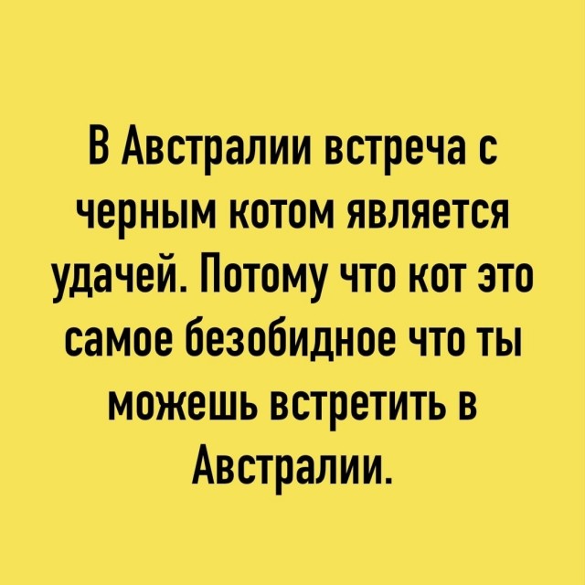 Так себе картинки 04.12.25