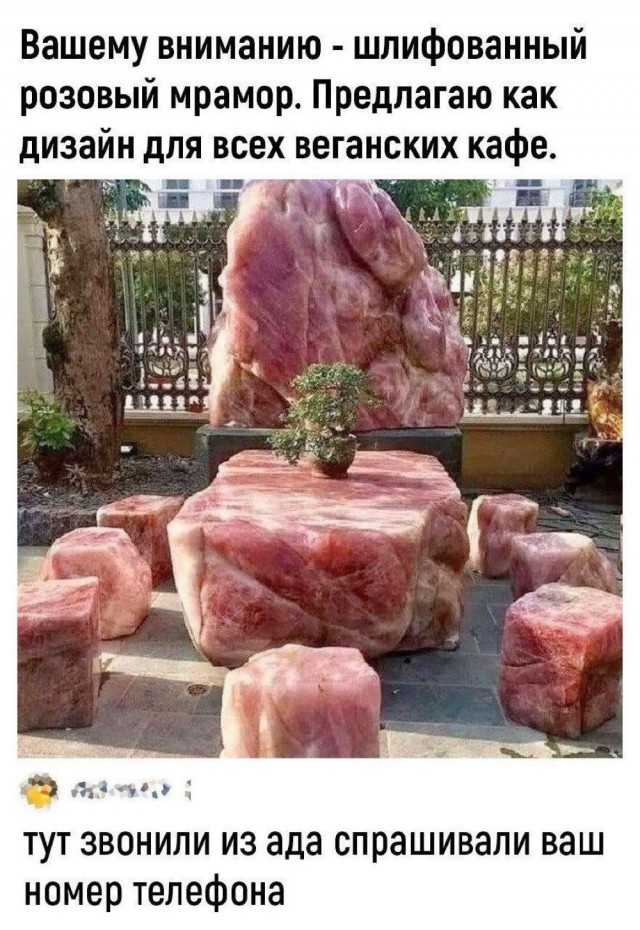 Веселых картинок вам в ленту