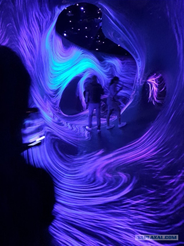 Дубайск в декабре