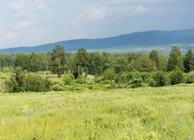 Деревенская Америка - 10