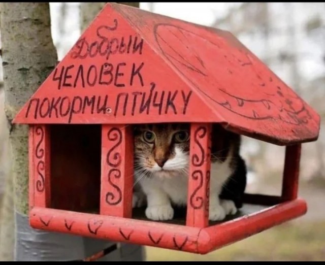 Мир не без добрых людей