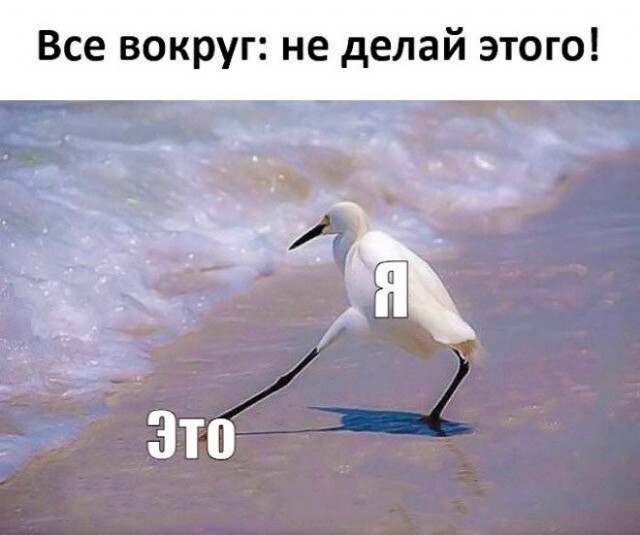 Веселые картинки в понедельник (30.03)