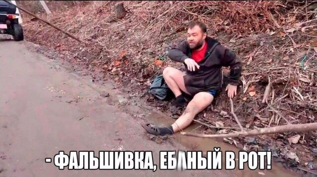 Отличная ава, укуси меня пчела!