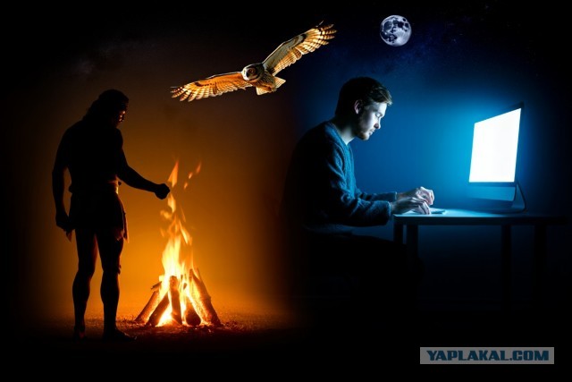 Учёные в шоке: именно «совы» спасли человечество от вымирания. И вот доказательства