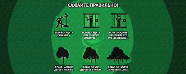 Тайгу начали вырубать на восточном берегу Байкала