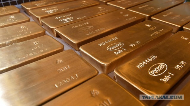 Из офиса банка в Петербурге исчезли 2 миллиарда рублей в монетах