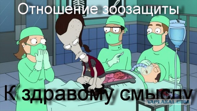 Противникам ДогХантеров