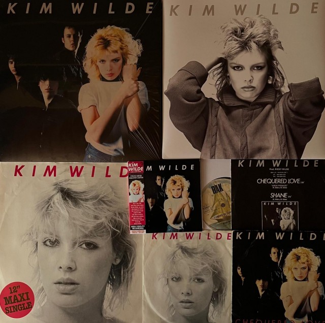 Фото с концерта Kim Wilde