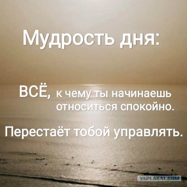 Что можно ещё сюда добавить?
