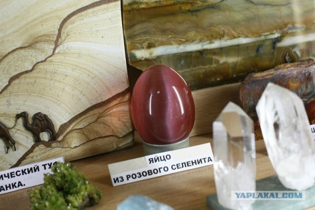 Музей шедевров природы