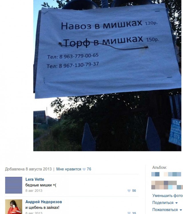 Смешные комментарии из социальных сетей