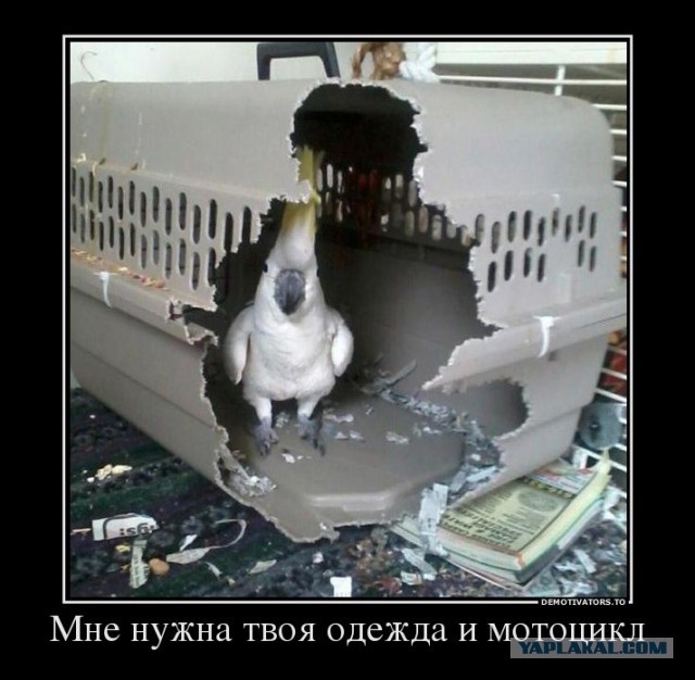 Его зовут Люк