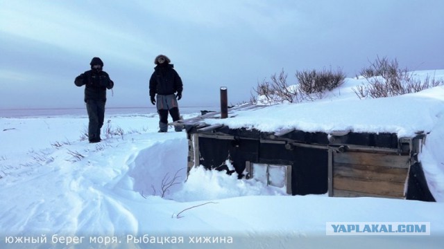 Экспедиция ИНДИГА.