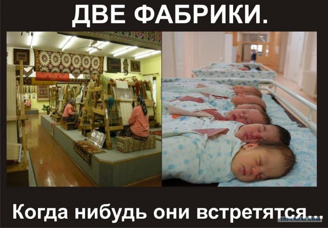 Ковры в соц-сетях