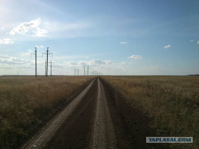 15 любительских фотографий