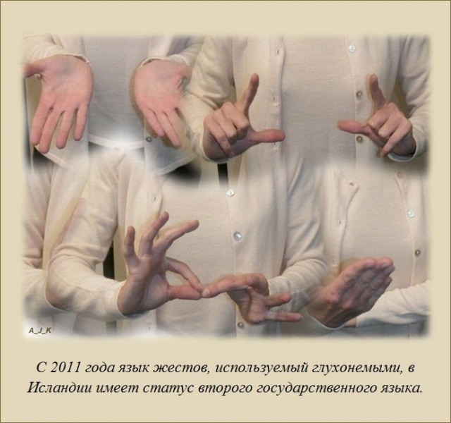 20 фактов обо всем
